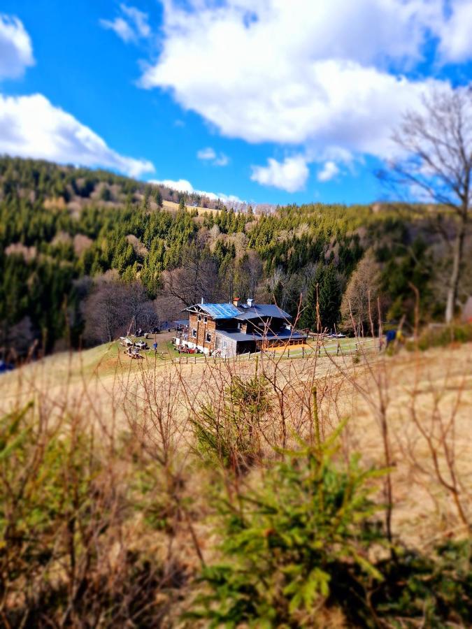 Apartament Mountains Gory Sowie Jugów Eksteriør billede