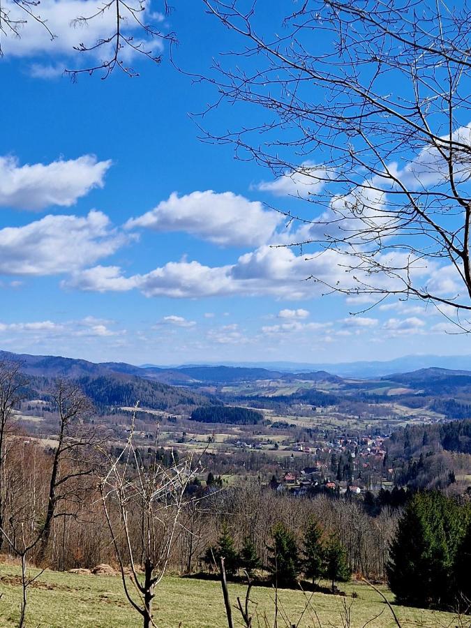 Apartament Mountains Gory Sowie Jugów Eksteriør billede